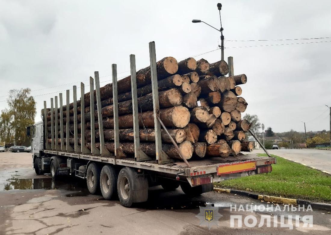 У Чуднові виявили вантажівку з незаконною деревиною