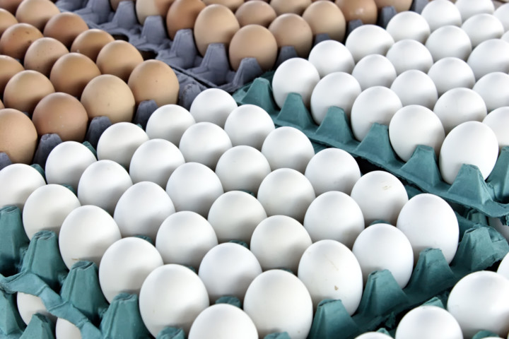 Ціни на яйця мають стабілізуватися у листопаді – Мінагрополітики