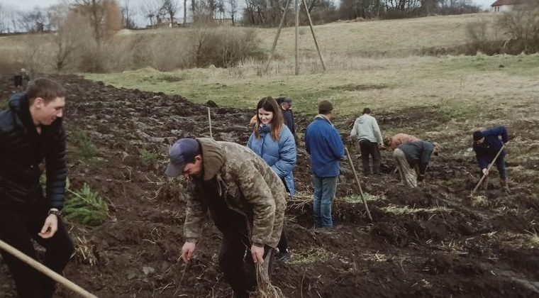 У селі П’ятка заклали молодий парк