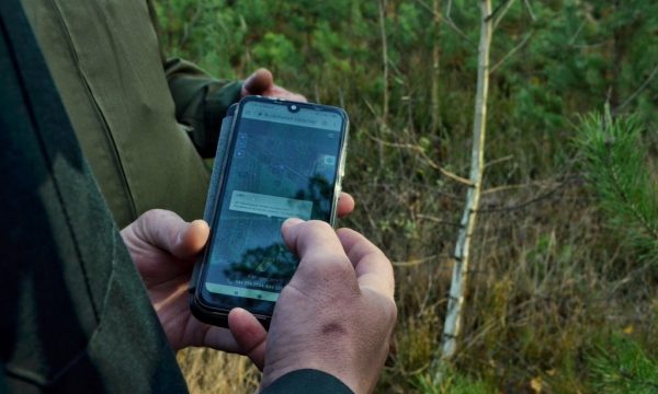 Україна з 1 червня запускає пілот електронної видачі лісорубних квитків та сертифікатів походження лісоматеріалів
