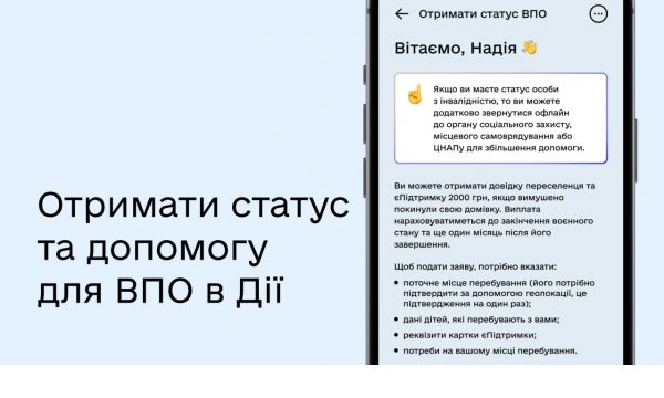 Послуги для внутрішніх переселенців онлайн у Дії: Федоров поділився першими результатами
