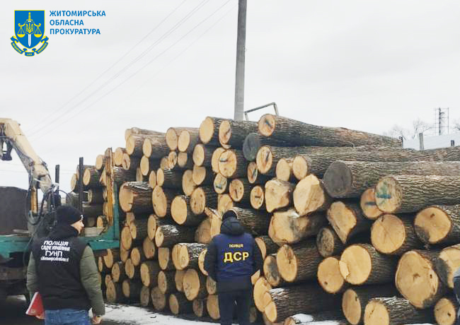 Вирубали дубів на майже 900 тис. грн – на Житомирщині судитимуть злочинне угруповання «чорних лісорубів»