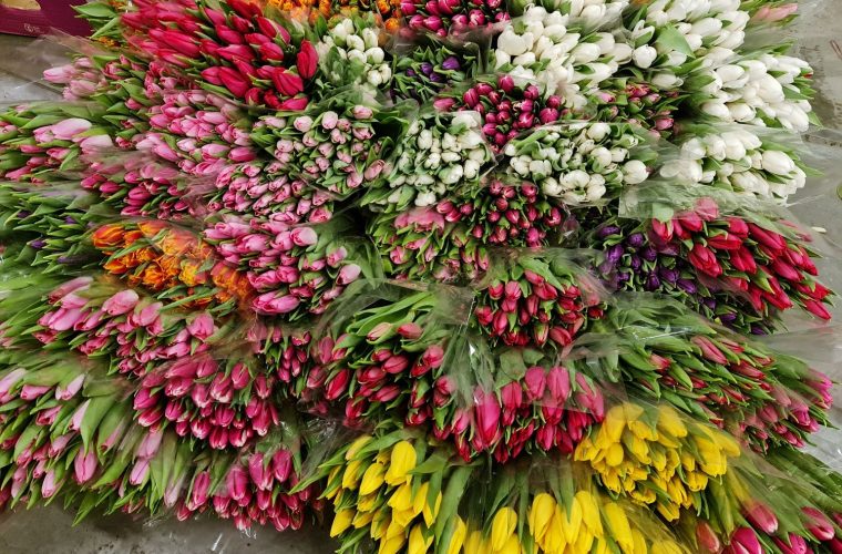 Спроба закупити дешево квіти закінчилася втратою понад 23 тис грн