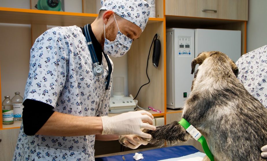 Для лікарів ветеринарної медицини є робота