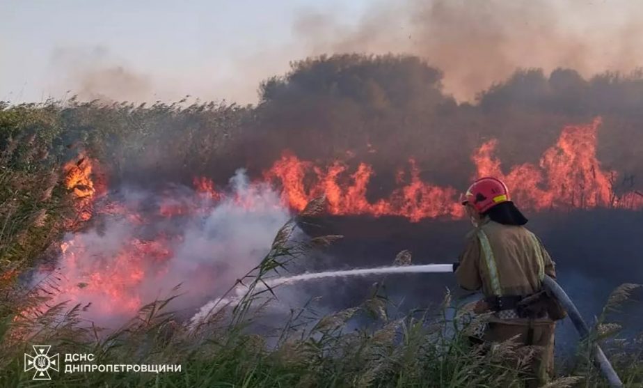 Лісові пожежі у 98% випадків - через недбалість людей: як уникнути