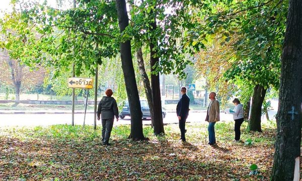 У Чуднові у парку Слави провели обстеження дерев