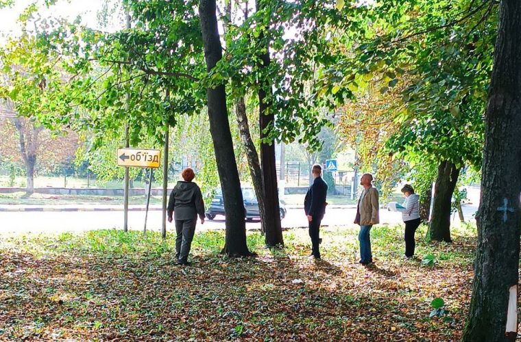 У Чуднові у парку Слави провели обстеження дерев