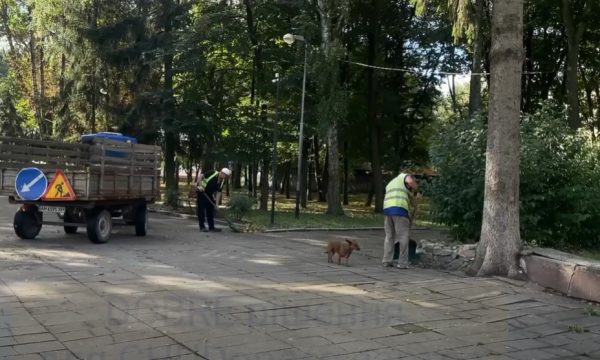 Чуднівська громада бере участь у конкурсі «Громада на всі 100»