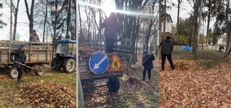 Чуднівський парк прибрали від листя: триває осіння толока