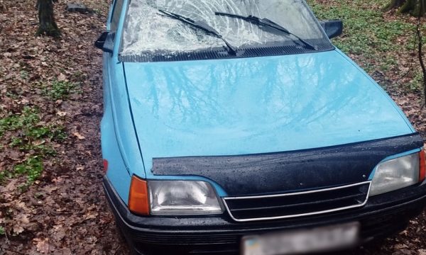 Збив жінку з дитиною та втік з місця ДТП: у Романівській громаді розшукали водія в посадці