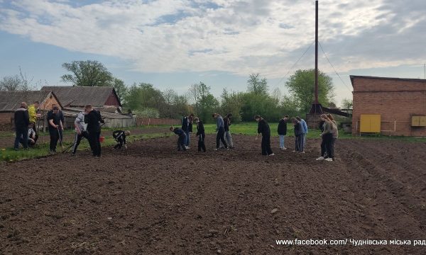 У Чуднові «Шкільний сад» гімназисти посадили знову: надихнув урожай минулоріч