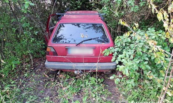 У Чуднівській громаді з подвір'я викрадено автомобіль: затримали підозрюваного (місцевий житель)