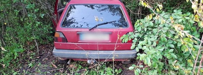 У Чуднівській громаді з подвір'я викрадено автомобіль: затримали підозрюваного (місцевий житель)