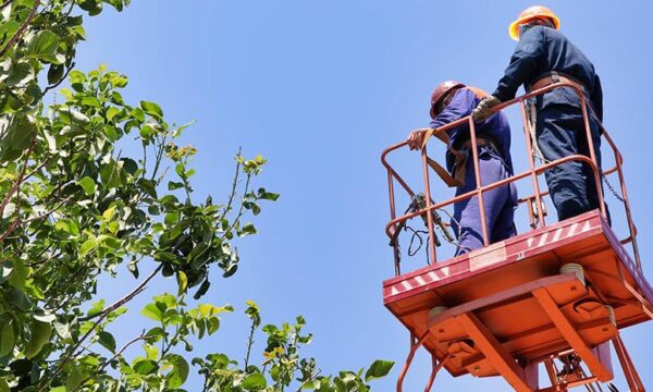 Чуднівщина - серед найбільш потерпілих від негоди громад: затоплення, знеструмлення, падіння дерев