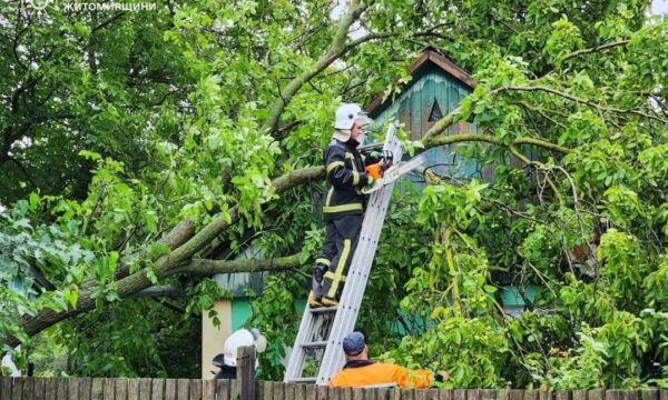 На Чуднівщини рятувальники ліквідовували наслідки негоди 19 липня