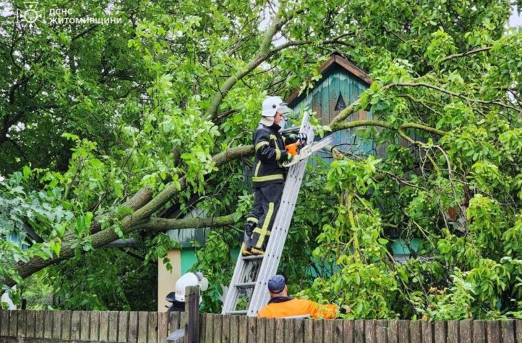 На Чуднівщини рятувальники ліквідовували наслідки негоди 19 липня