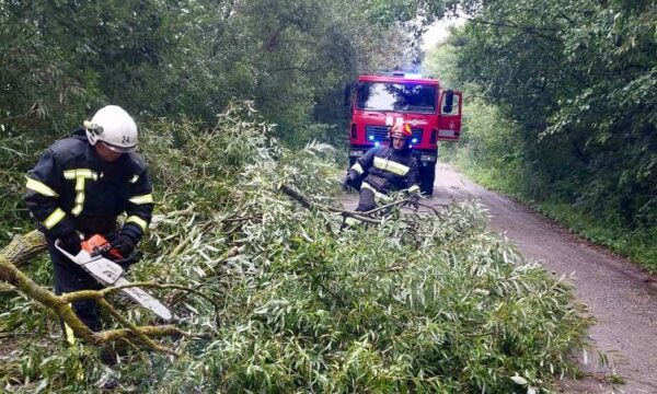 194 дерева негоди повалила на дороги на території Чуднівської громади