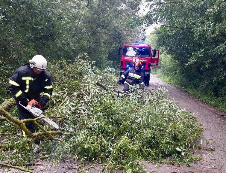 194 дерева негоди повалила на дороги на території Чуднівської громади