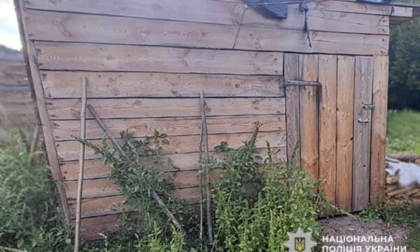Бойову гранату зберігав у приватному хліві житель Романівської громади