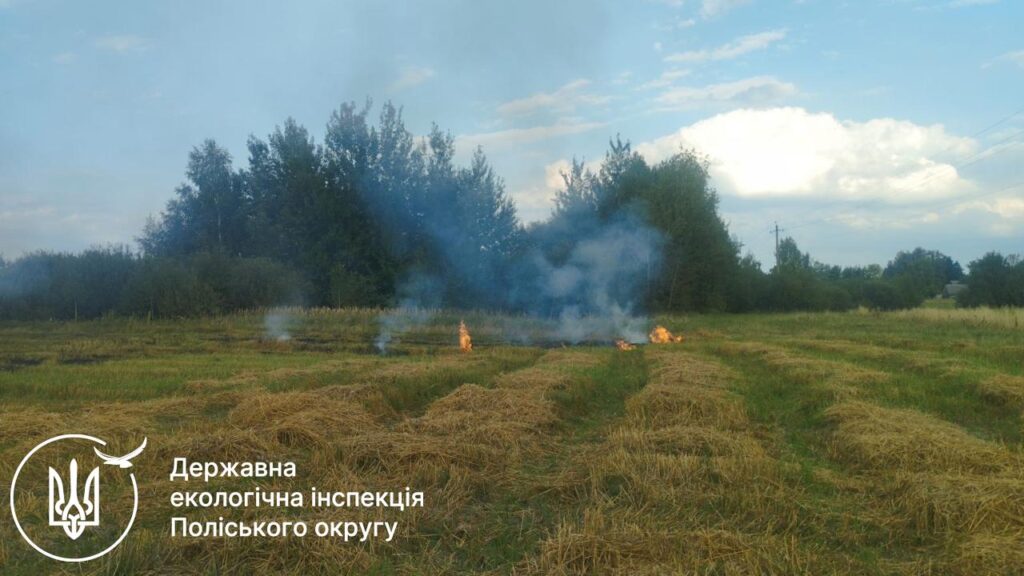 У Чуднівській громаді виявили палія рослинності: оштрафували на 3 600 грн
