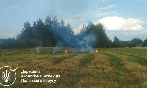 У Чуднівській громаді виявили палія рослинності: оштрафували на 3 600 грн