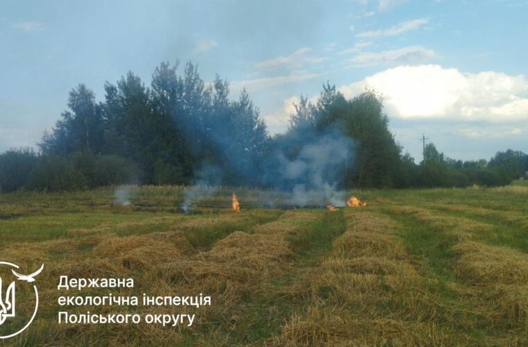 У Чуднівській громаді виявили палія рослинності: оштрафували на 3 600 грн