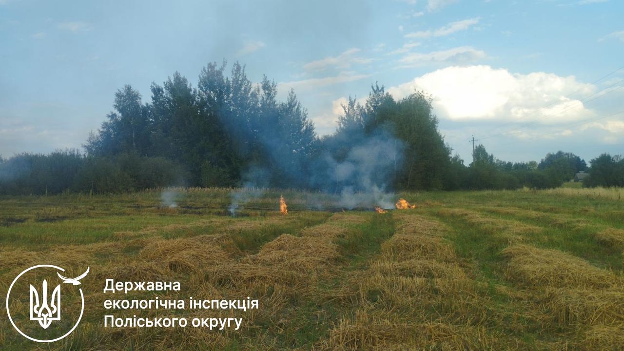У Чуднівській громаді виявили палія рослинності: оштрафували на 3 600 грн