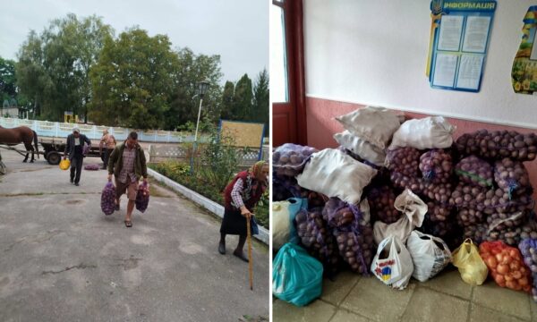 Чуднівська громада заготувала для лікарні майже 15 тонн овочів: але потреба не закрита