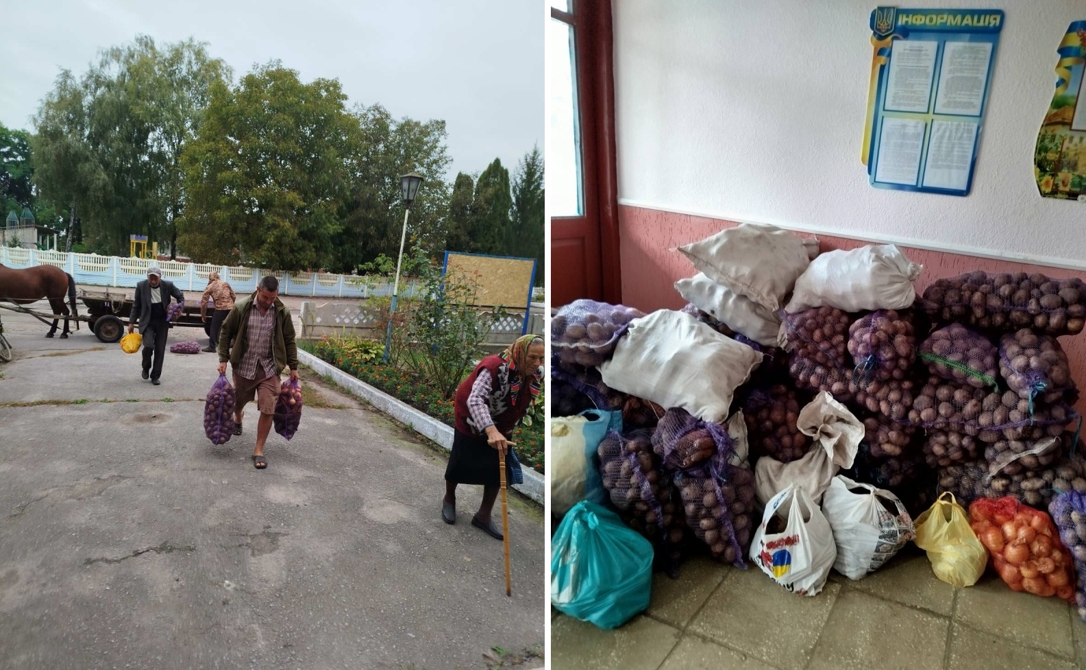 Чуднівська громада заготувала для лікарні майже 15 тонн овочів: але потреба не закрита