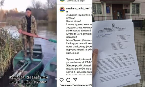 Чуднівські поліцейські встановлюють обставини жорстокого поводження з твариною
