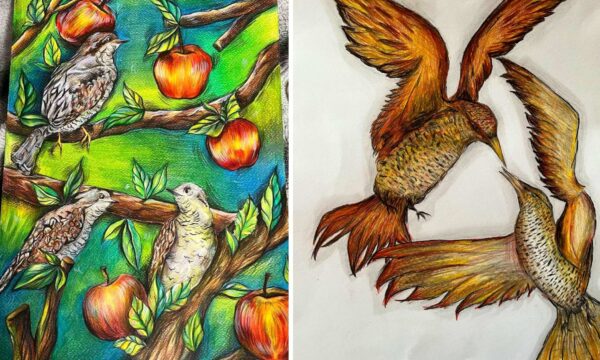 Учениці Чуднівського ліцею здобули перемоги в обласному конкурсі «Птах року – Крутиголовка»