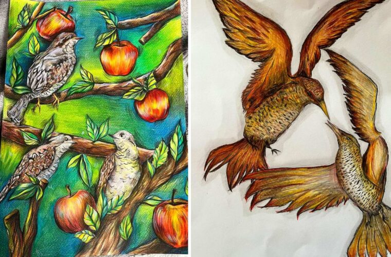 Учениці Чуднівського ліцею здобули перемоги в обласному конкурсі «Птах року – Крутиголовка»