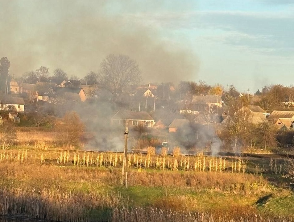 Діє заборона на спалювання сухого листя і трави: передбачені штрафи