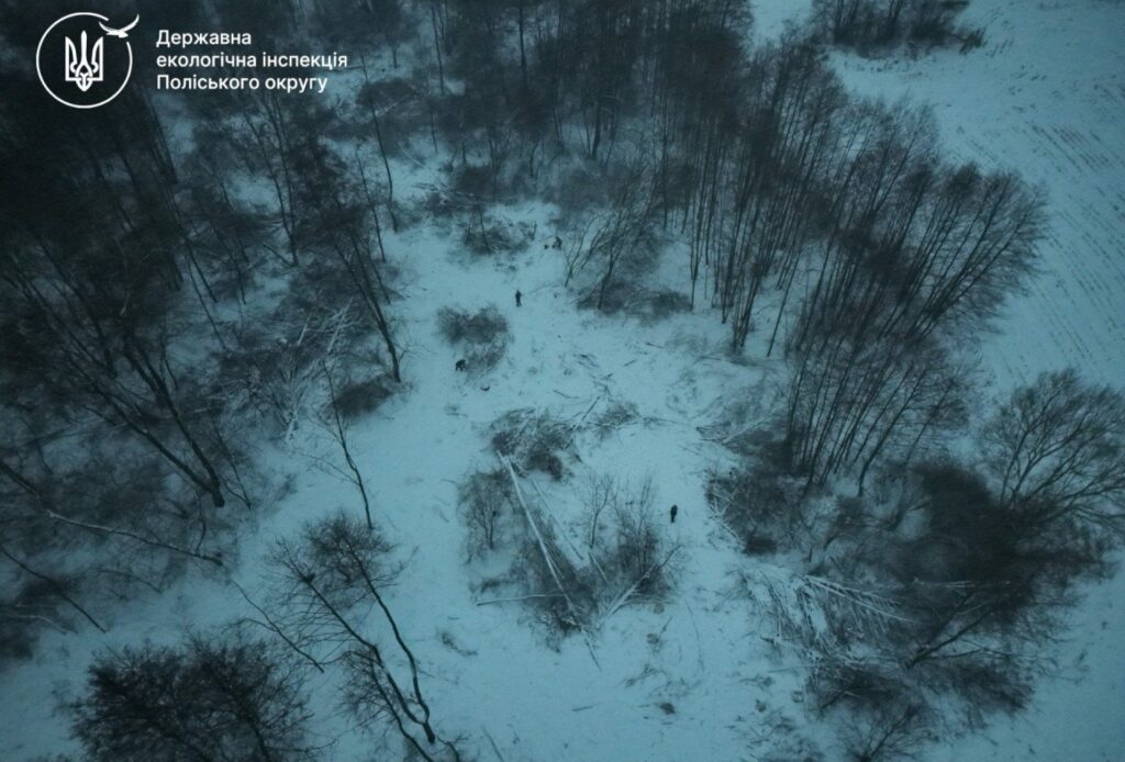 Масштабна незаконна порубка дерев у Чуднівській громаді біля М’ясківки: 4,9 млн грн збитків