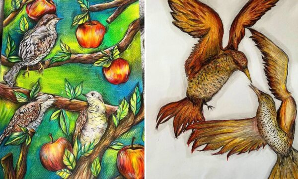 Учні Чуднівського ліцею здобули відзнаки Всеукраїнського конкурсу «Птах року»