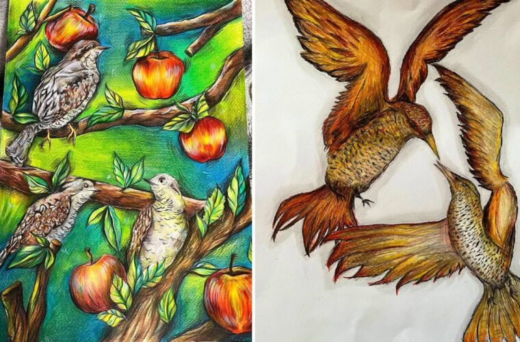 Учні Чуднівського ліцею здобули відзнаки Всеукраїнського конкурсу «Птах року»