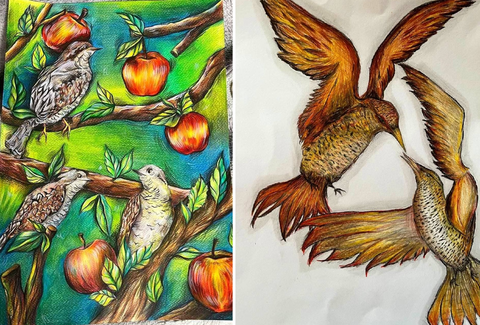 Учні Чуднівського ліцею здобули відзнаки Всеукраїнського конкурсу «Птах року»