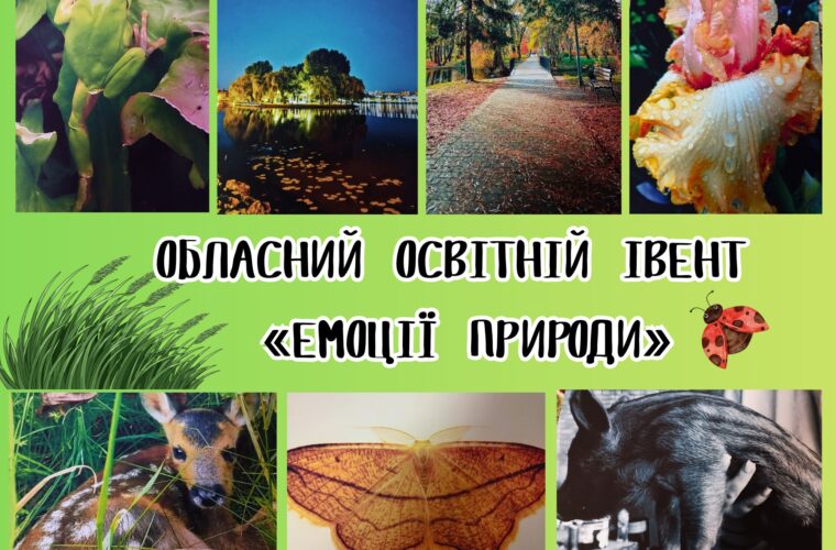 Перемоги учнів з Чуднівщини в обласному конкурсі «Емоції природи»