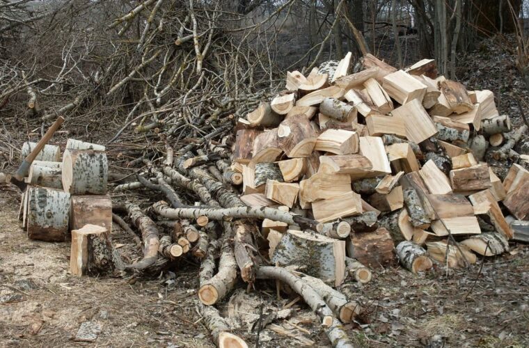 На Чуднівщині працівники «Армії відновлення» займаються заготівлею дров