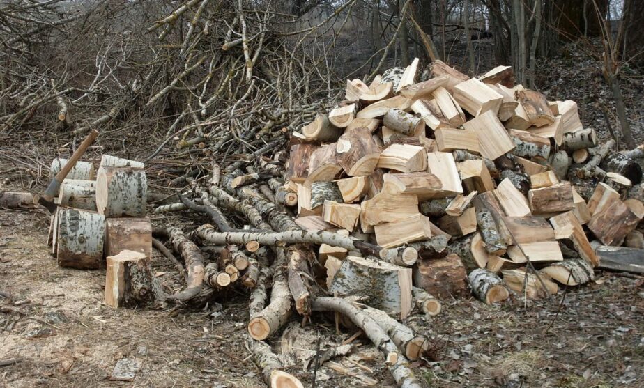 На Чуднівщині працівники «Армії відновлення» займаються заготівлею дров